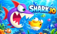 Shark.io image